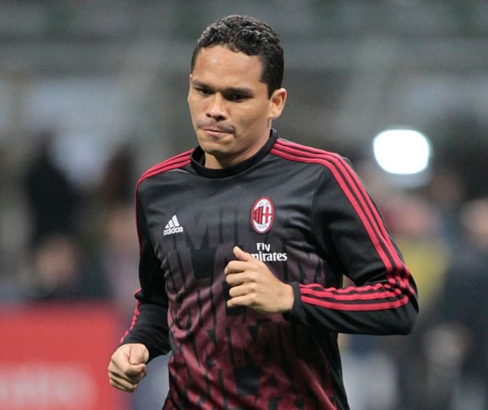 bacca___